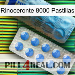 Rhino 8000 Pills 40